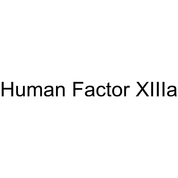 Human Factor XIIIa
